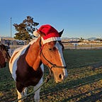 The Political Orphanage