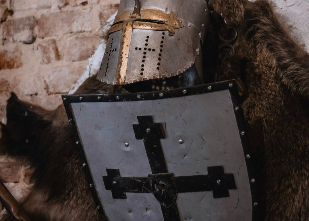a cat sitting on top of a horse next to a shield