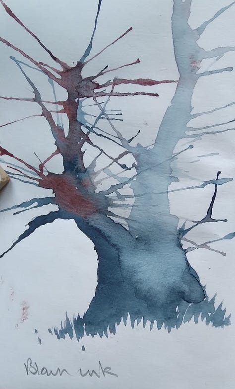 Drawings, watercolours, photos and written notes.