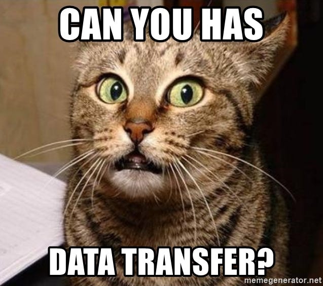 Serious Cat - Can you has Data Transfer?