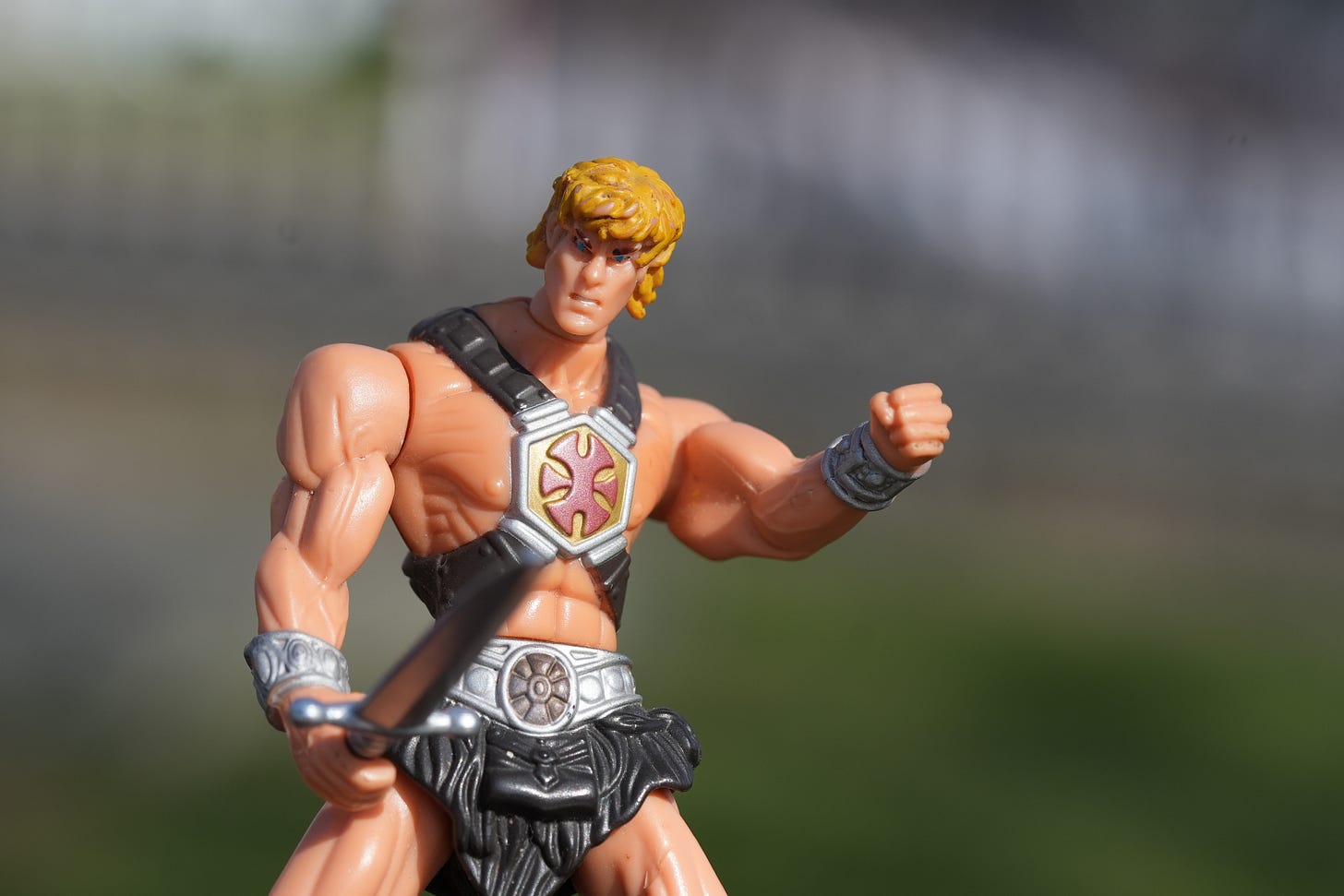 he-man toy with ripped muscles he-man toy with ripped muscles