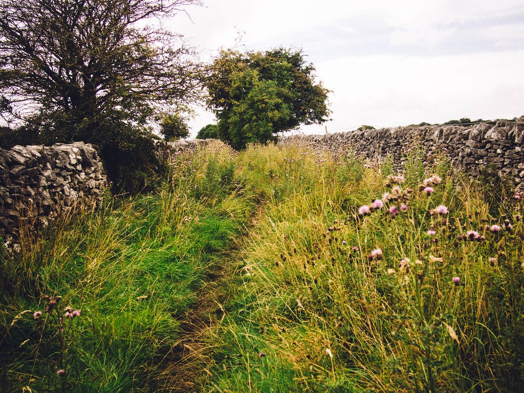 Trails Trails