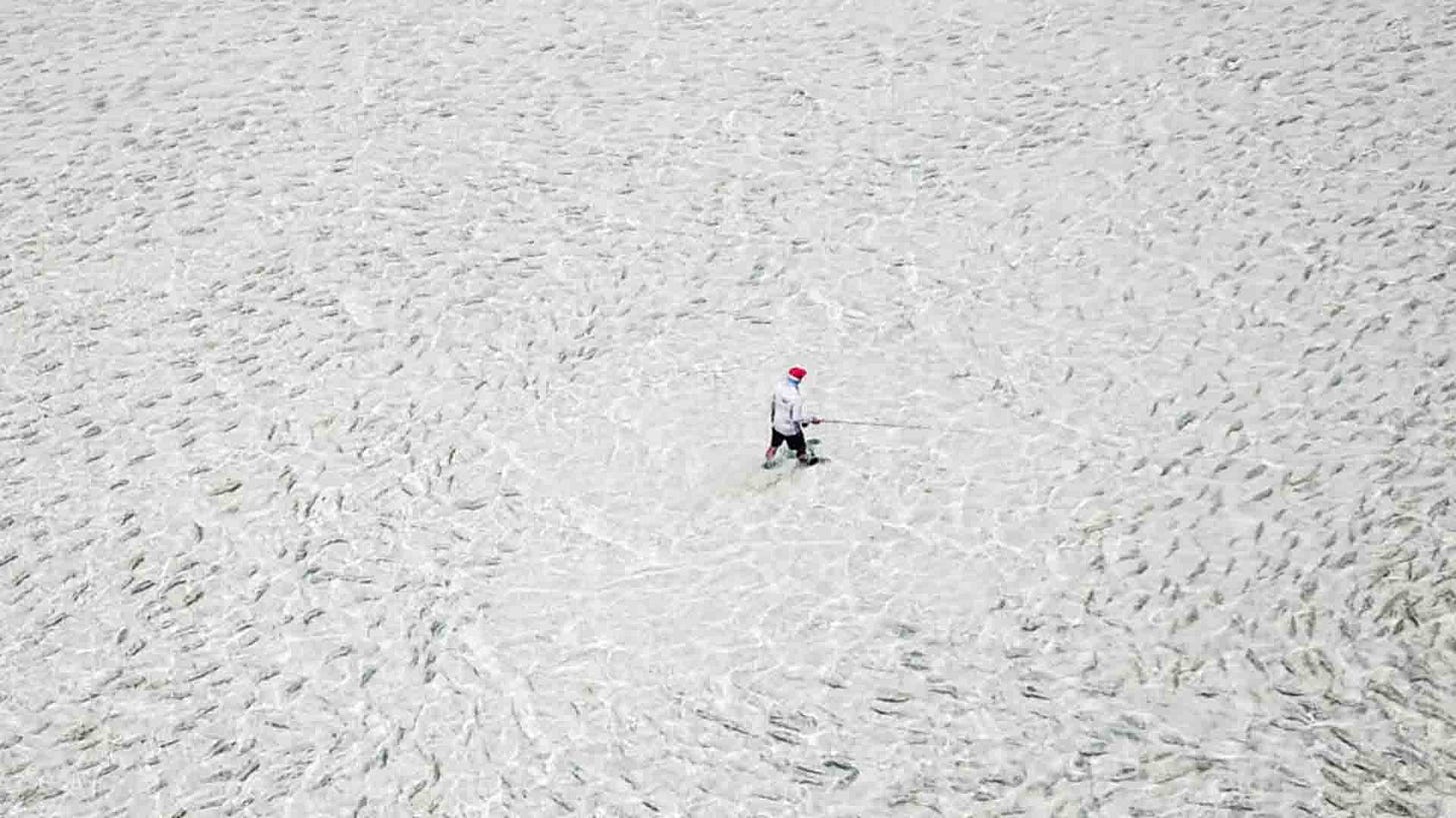 Flyfish Alphonse Island, the Indian Ocean's biggest bonefish population.