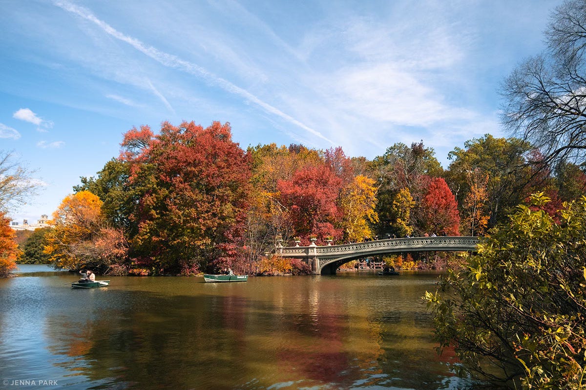 Fall in Central Park
