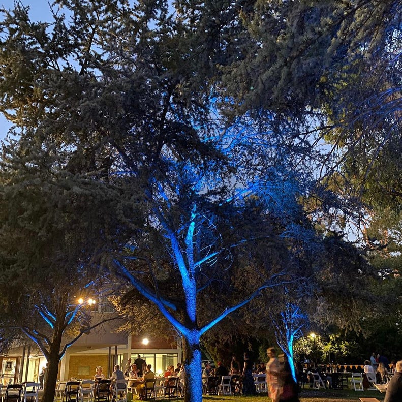 It is brave to be involved