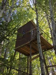 Did you ever build or visit a treehouse?