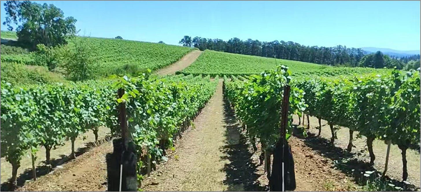 Slow motion Tractor Vision®.