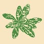 Earthbound Farmer's Almanac's avatar
