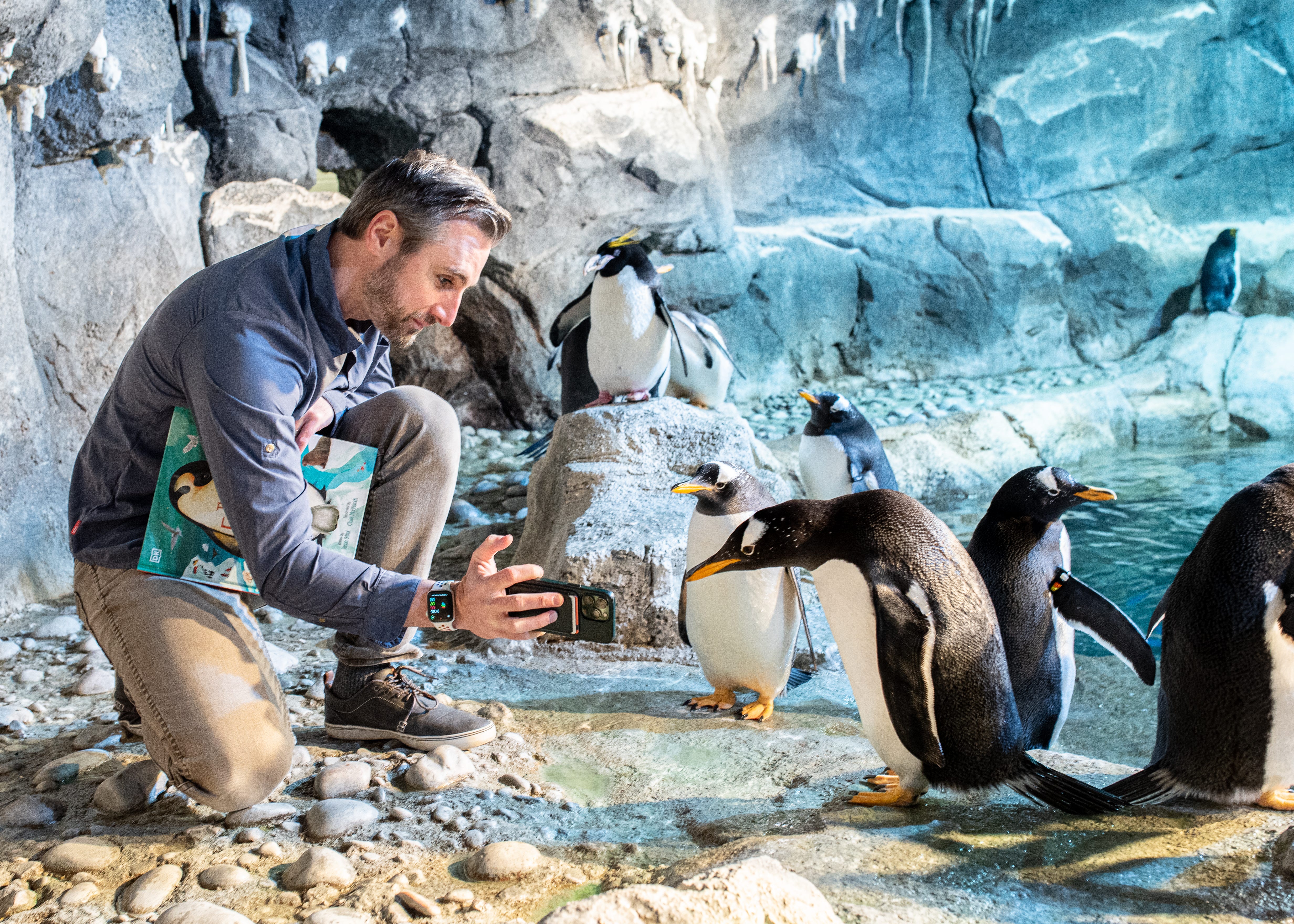 Penguins Love Selfies - by Jason Bittel