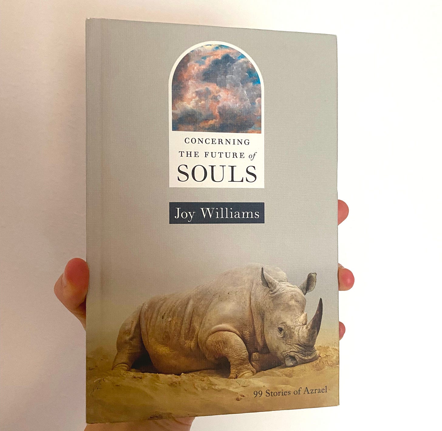 The cover of "Concerning the Future of Souls" by Joy Williams. Printed by Tin House  Books in 2025, the cover features a rhinoceros resting on the ground. 