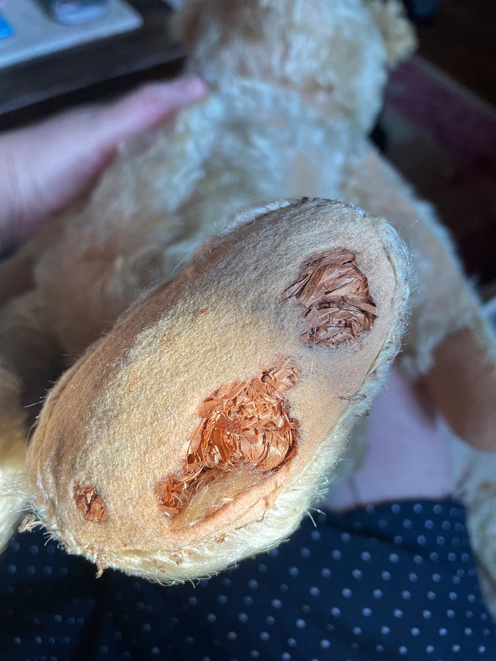 An antique teddy bear being repaired.