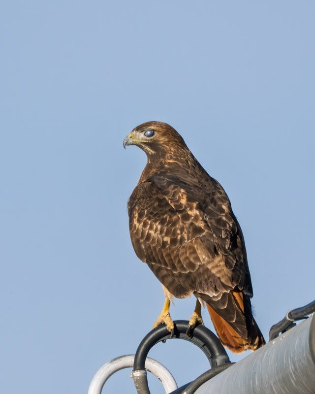 20251116-misc-18-Edit.jpg 20251116-misc-18-Edit.jpg