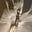 Janna Lozow's avatar