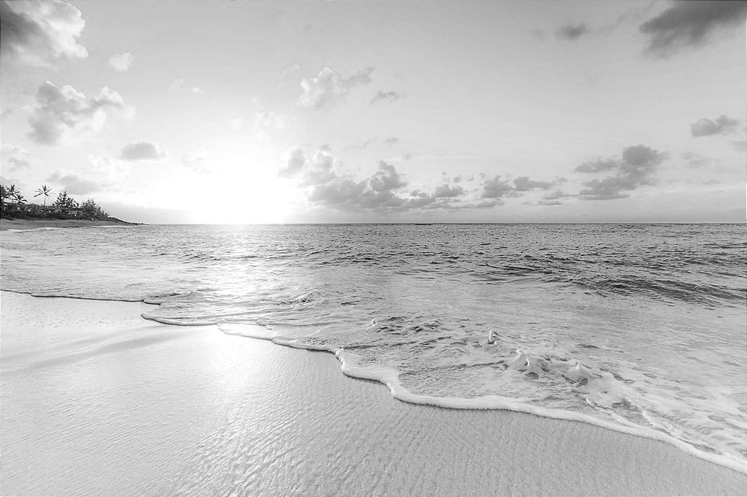 seashore during golden hour seashore during golden hour
