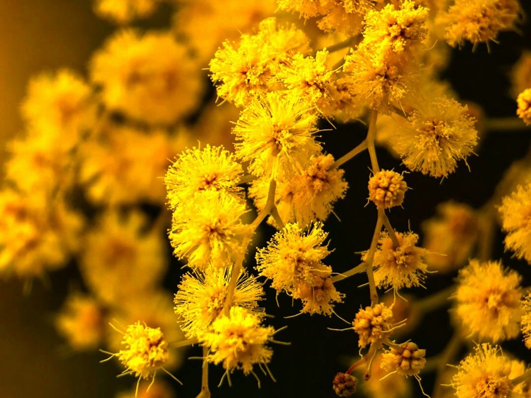 Les 7 Bonnes Nouvelles du Samedi 17 Janvier 2026