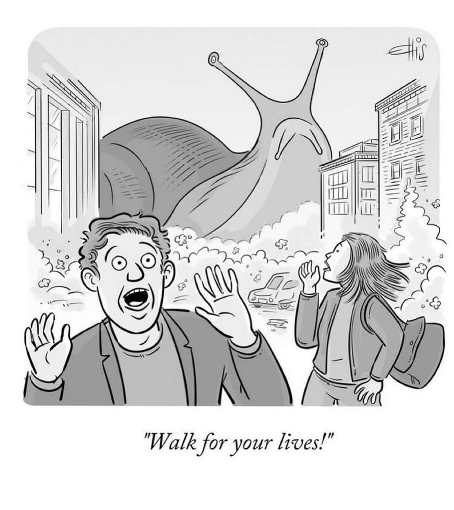 People running from gigantic snail: “walk for your lives!” 