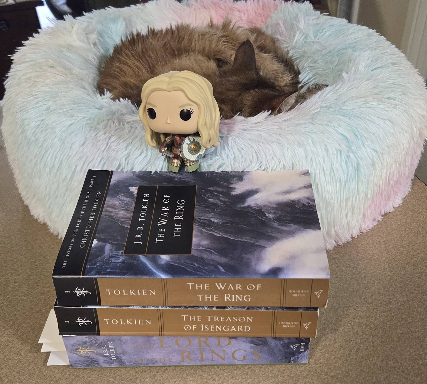 Funko Pop Eowyn on stack of Tolkien books in front of Hild the cat who could not be less interested in this project. Funko Pop Eowyn on stack of Tolkien books in front of Hild the cat who could not be less interested in this project.