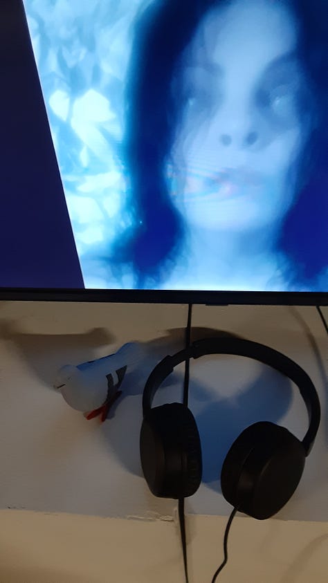 In first picture, CB pigeon by the headphones and screen of Kelly Ann Pinho's video piece -- as pictured, a still from video where pale woman with blank eyes stares out in pale light; second piece, silhouette of CB pigeon in front of one of the light scultures by Sunil Garg. This one looks like a combination of DNA and a jellyfish in red and green; in third photo, CB pigeons looks on at a section of the Newark Wetlands Project, from Amanda Thackery and collaborators. As pictured, a green-blue-lit canopy made from newspaper, along with blue-green tapestries and a section of a swampy pool.
