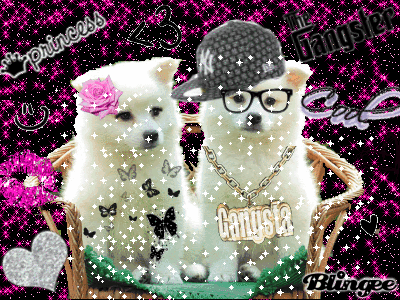 Figure 16. Example of a gangsta chain stamp used on puppies in a Blingee GIF.