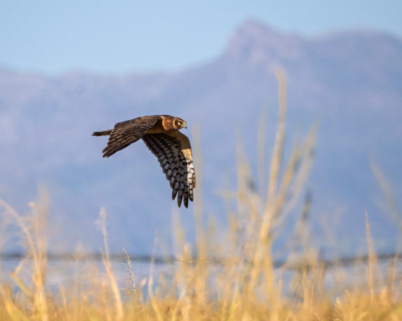 20250930-Manville-273-Edit.jpg 20250930-Manville-273-Edit.jpg