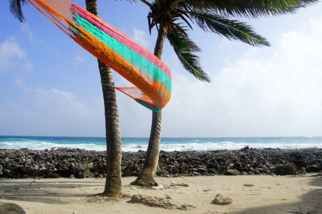 Hammock in the wind on Half Moon Caye Hammock in the wind on Half Moon Caye
