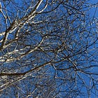 Spring...Is that you?