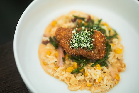 “Chefs from Aramark Collegiate Hospitality showcasing coastal-inspired dishes at the NC Seafood Festival 2025 — including seafood risotto, crab gumbo, and fried shrimp tacos — during live cooking demos and tastings with festival guests.”