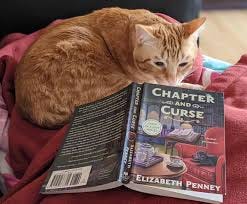 Cozy Mystery Books With Cats - Cat Explore