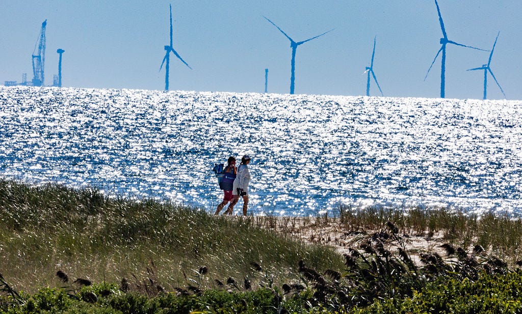 How NIMBYs hijacked the climate movement