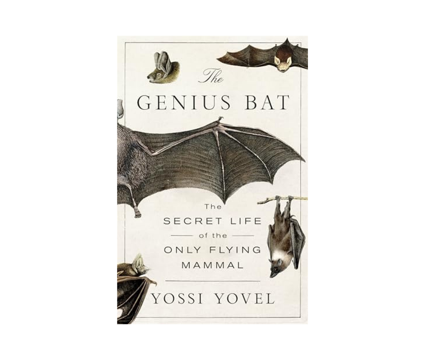 18 dark and deranged new books to devour this spooky season