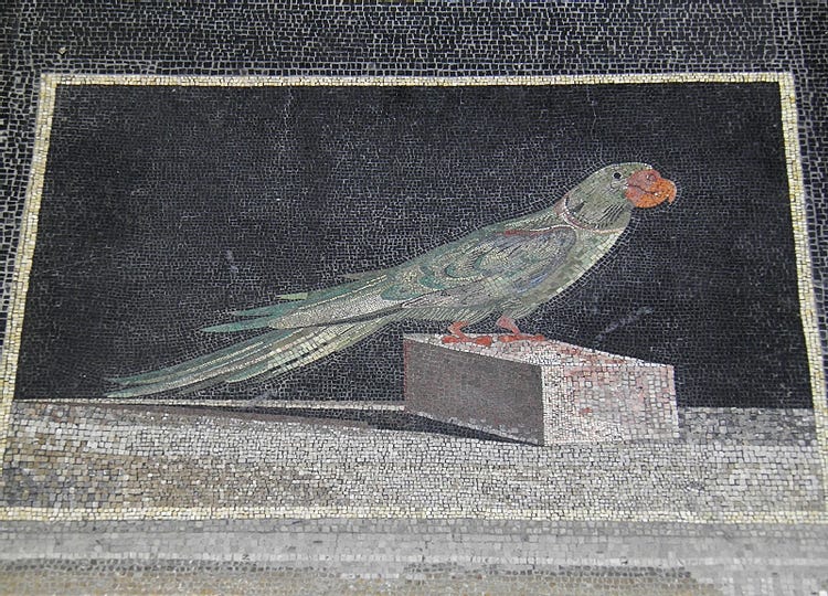 Hellenistic Mosaic, Pergamon