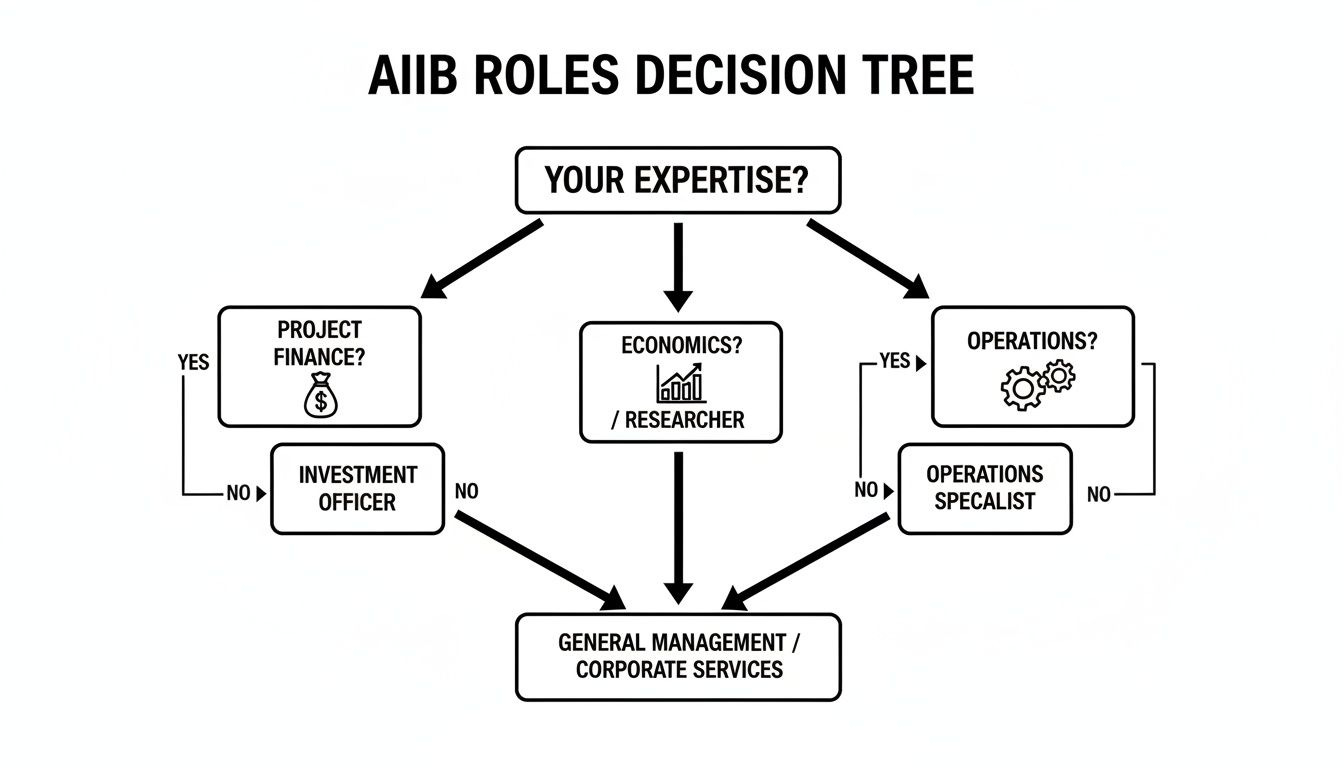A decision tree illustrating potential AIIB roles based on expertise in project finance, economics, or operations. A decision tree illustrating potential AIIB roles based on expertise in project finance, economics, or operations.