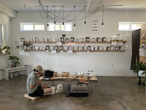 Daily scenes around our Point Loma shop in 2019.