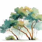 the trees shower too