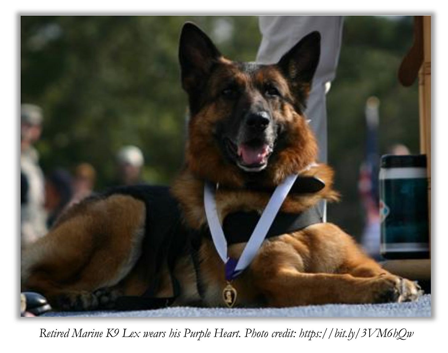 Lex is shown wearing his Purple Heart.