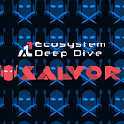 Salvor 101: The Avalanche NFT Platform You Need to Know