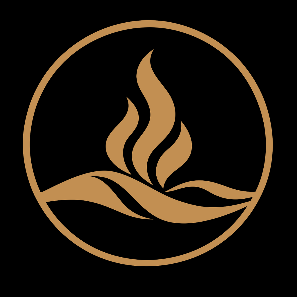 Desert and Fire logo