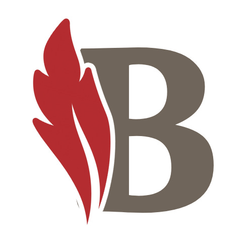 Brigham Editorial Newsletter