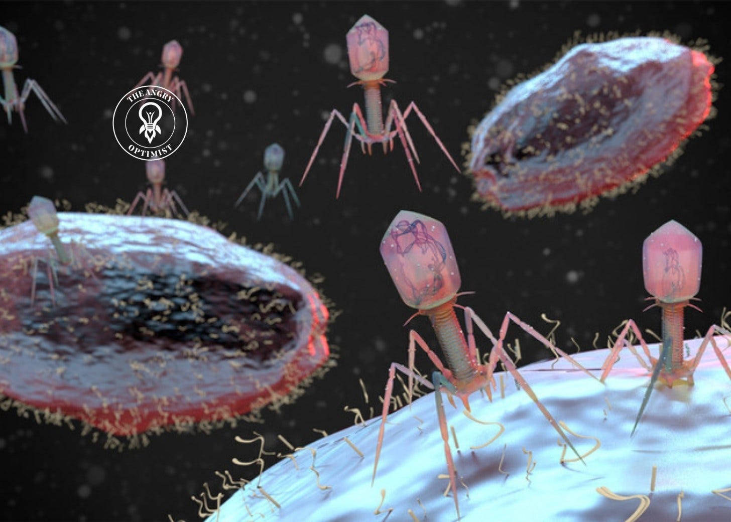 Illustration av virus som angriper en bakterie Illustration av virus som angriper en bakterie