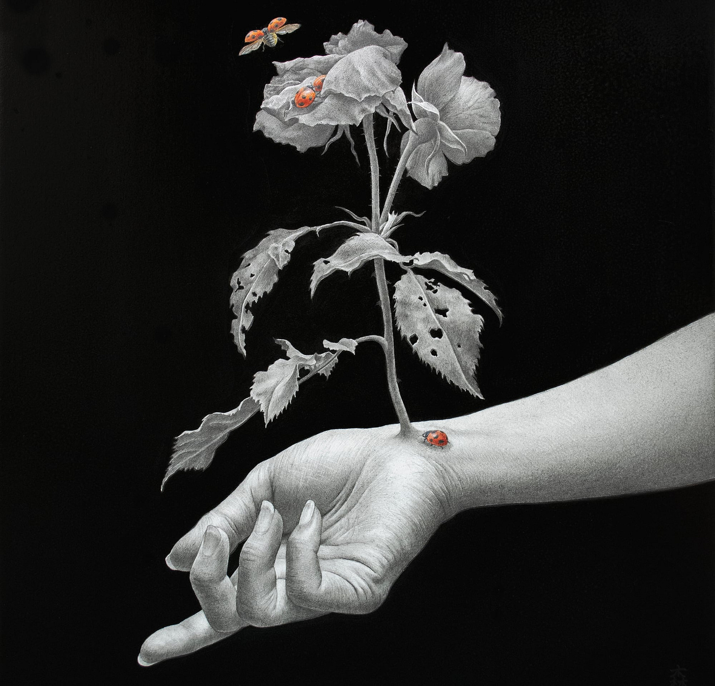 A drawing of human arm with a plant growing from a wrist