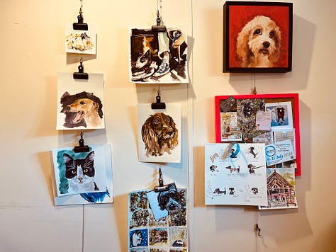 Photo of Dog portraits hung on the wall of the artist Jo Scotts Studio