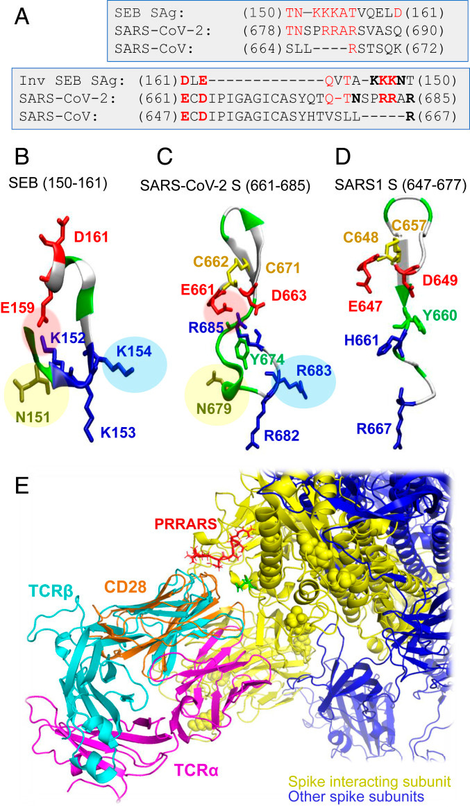 An external file that holds a picture, illustration, etc.
Object name is pnas.2010722117fig03.jpg An external file that holds a picture, illustration, etc.
Object name is pnas.2010722117fig03.jpg