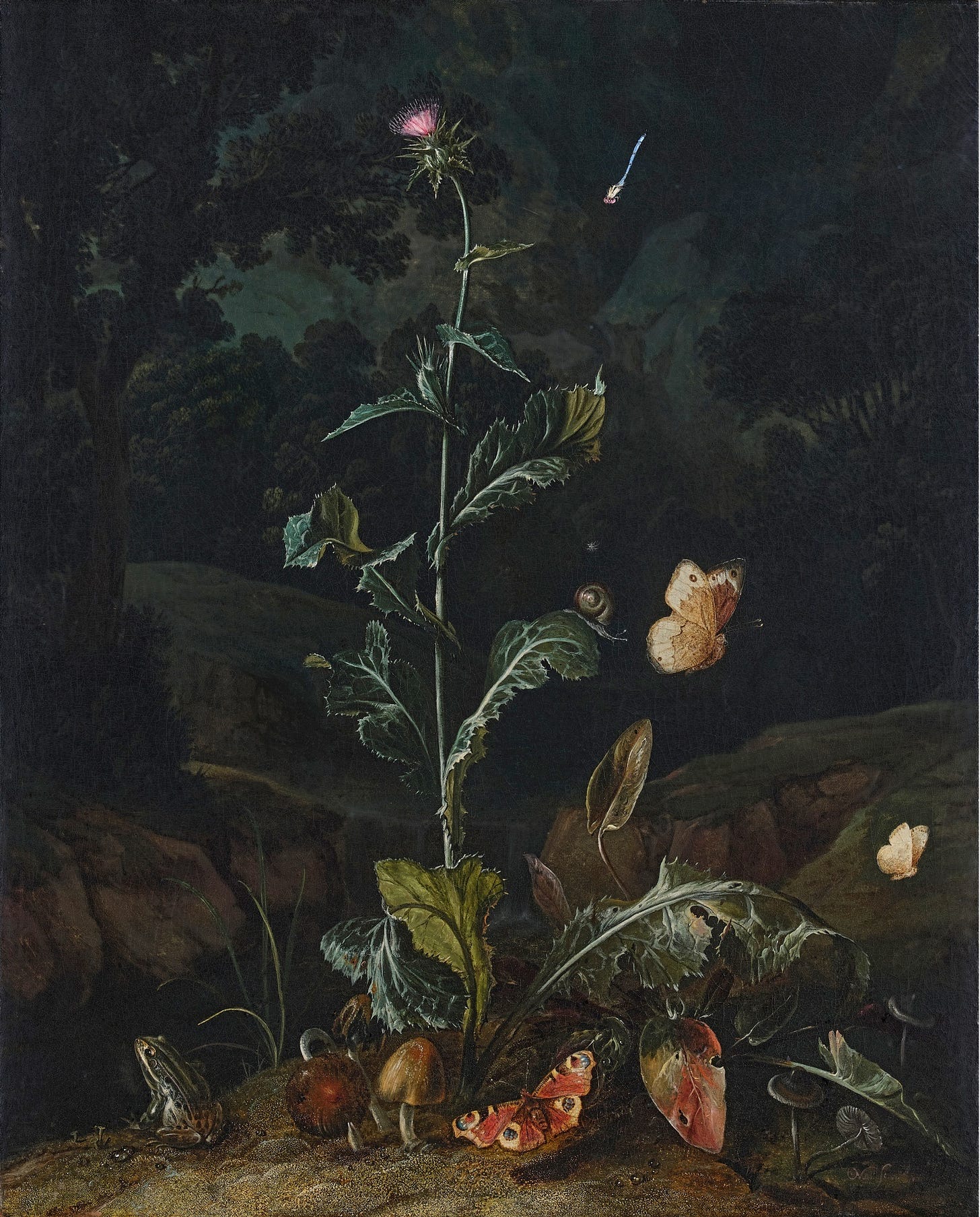 Otto Marseus van Schrieck, Forest floor still life with flowers and animals, 1671 Otto Marseus van Schrieck, Forest floor still life with flowers and animals, 1671