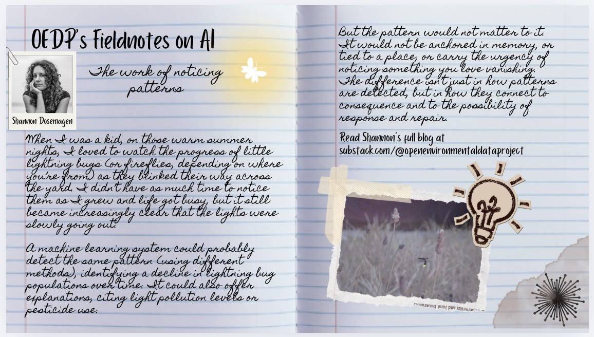 Shannon's fieldnotes on AI