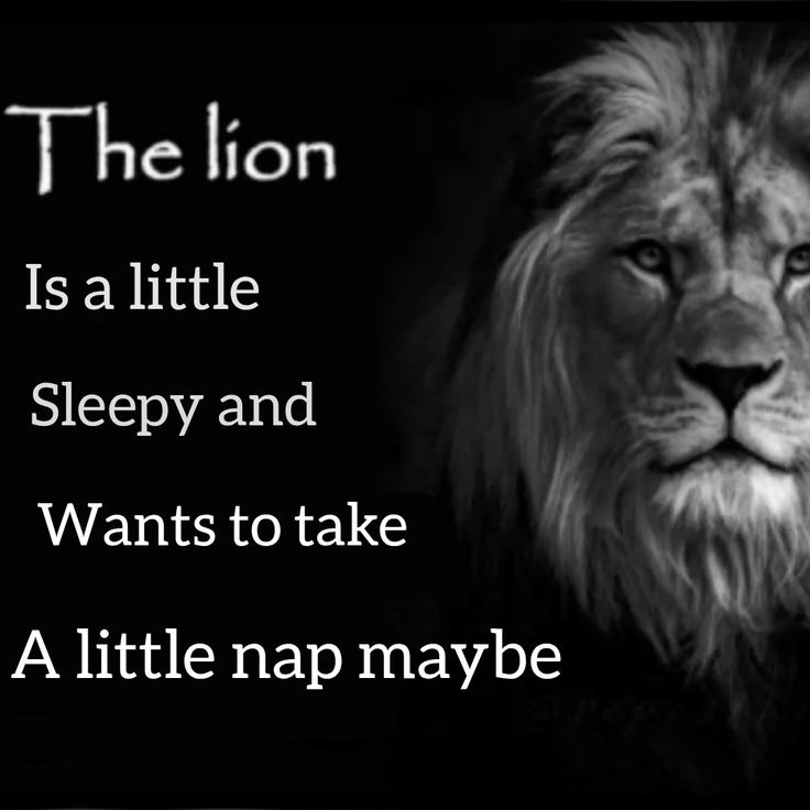 Story pin image Story pin image