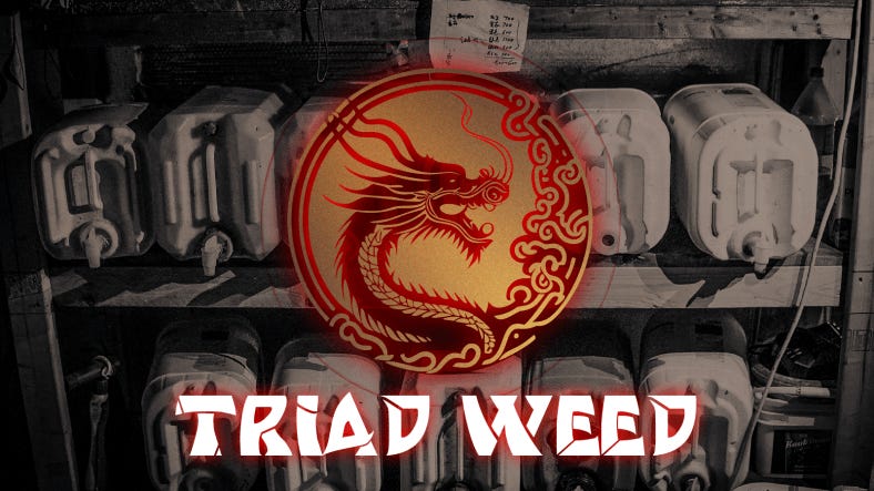 Illegal Aliens Got New York Drivers Licenses Before Dying in Freedom Gas Poisoning: Sheriff Docs