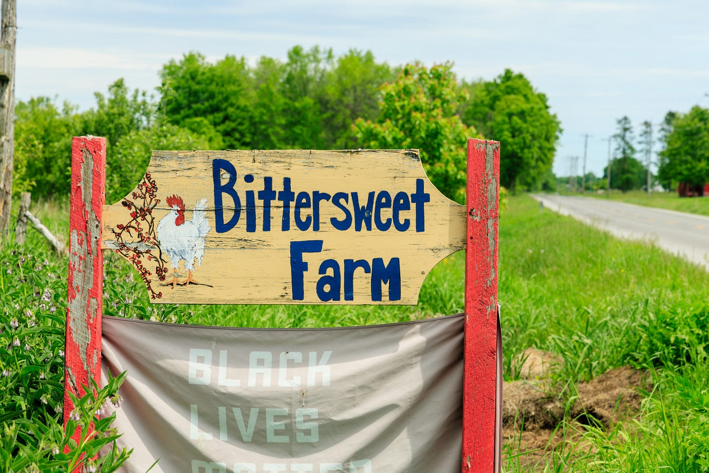 A handpainted wooden sign with a drawing of a rooster. The sign is yellow with blue words, "Bittersweet Farm." A Black Lives Matter flag hangs below. A handpainted wooden sign with a drawing of a rooster. The sign is yellow with blue words, "Bittersweet Farm." A Black Lives Matter flag hangs below.