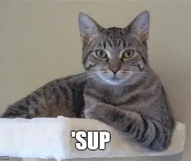 Image result for 'sup meme Image result for 'sup meme