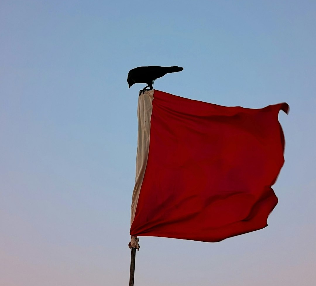 a black bird sitting on top of a red flag