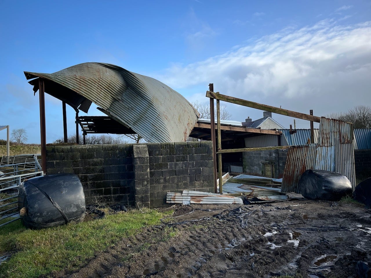 picture of an old dutch barn fallen down, blue skies with some clouds, in the foreground mud and a couple of old plastic bales. A wall fallen down.